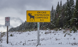 Tadoussac    |   25  /  25    |